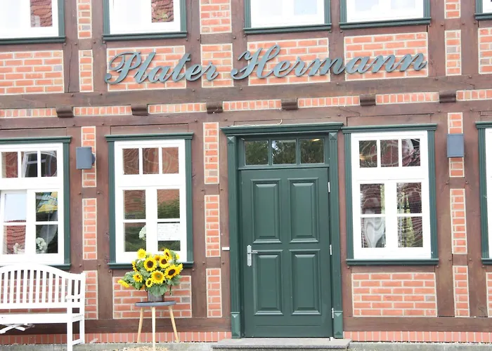 Plater Hermann